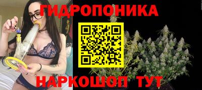 ешки Абакан