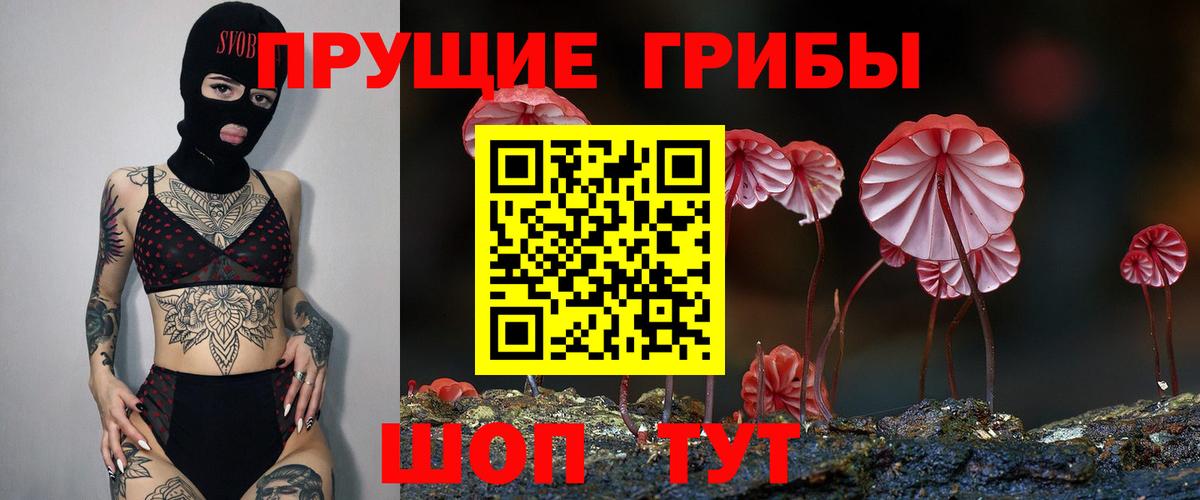 Галлюциногенные грибы Psilocybine cubensis Абинск