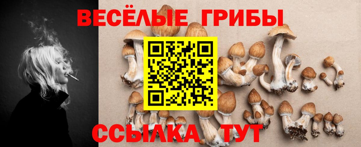 Галлюциногенные грибы MAGIC MUSHROOMS Абинск